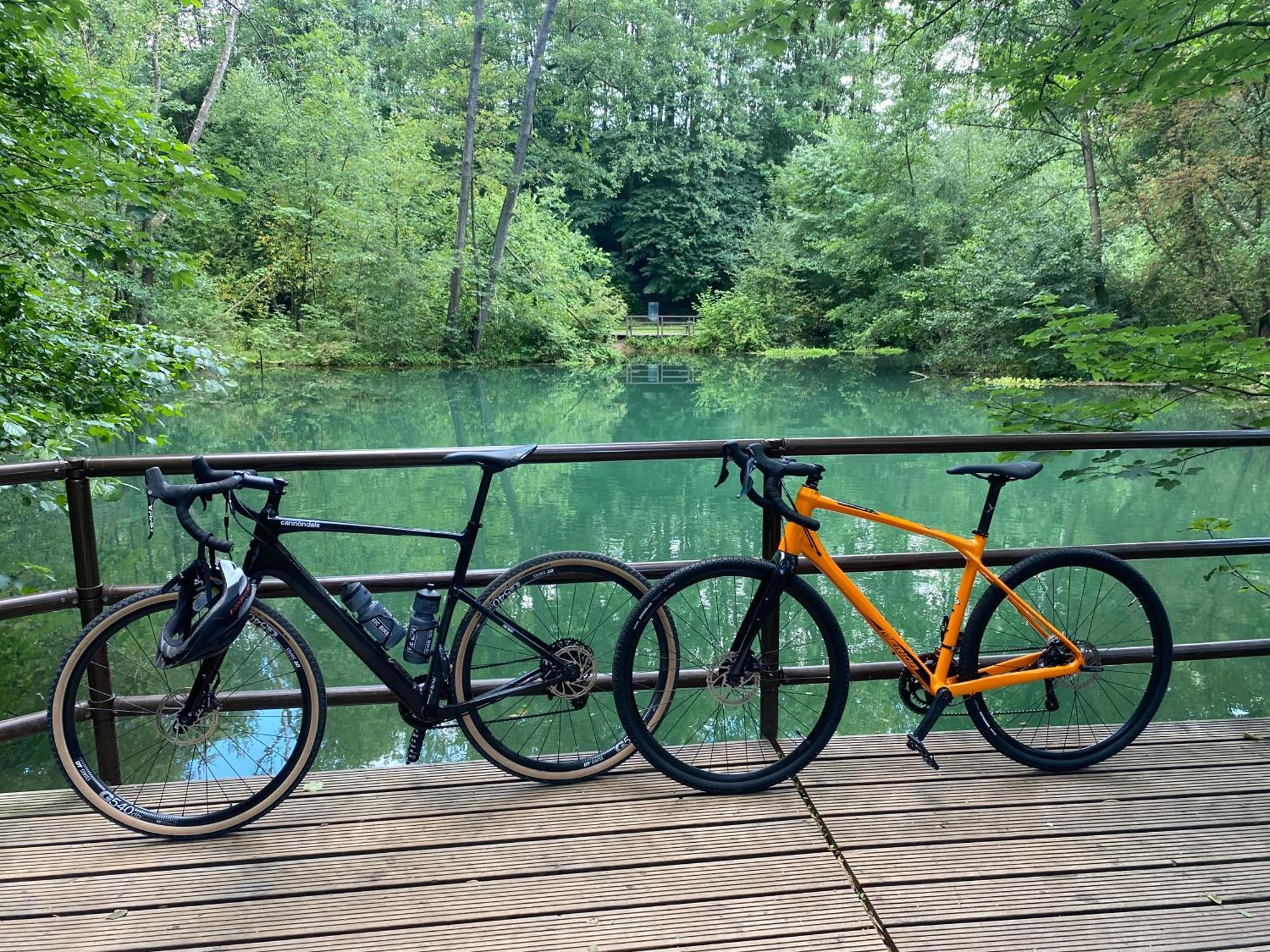 Ferienwohnung Sued - West Harz Mit Sauna E-Bikes Vorhanden! Horden am Harz Ngoại thất bức ảnh